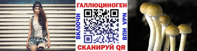 что такое   Междуреченск  Псилоцибиновые грибы прущие грибы 